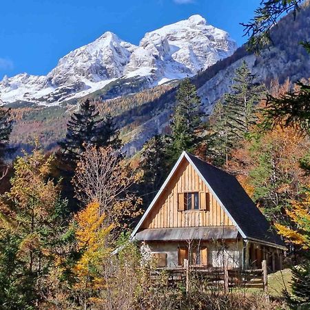 Cozy Private Cabin In The Heart Of Triglav National Park Трента Экстерьер фото