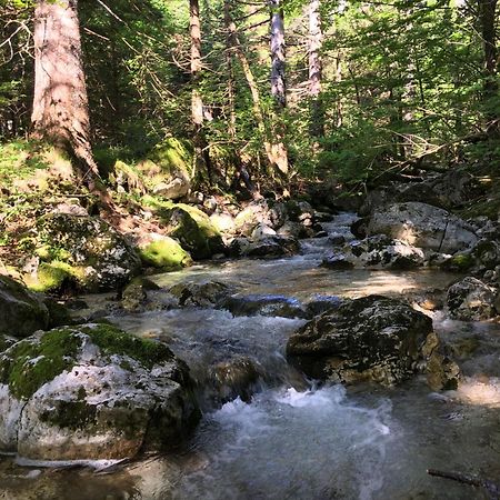 Cozy Private Cabin In The Heart Of Triglav National Park Трента Экстерьер фото