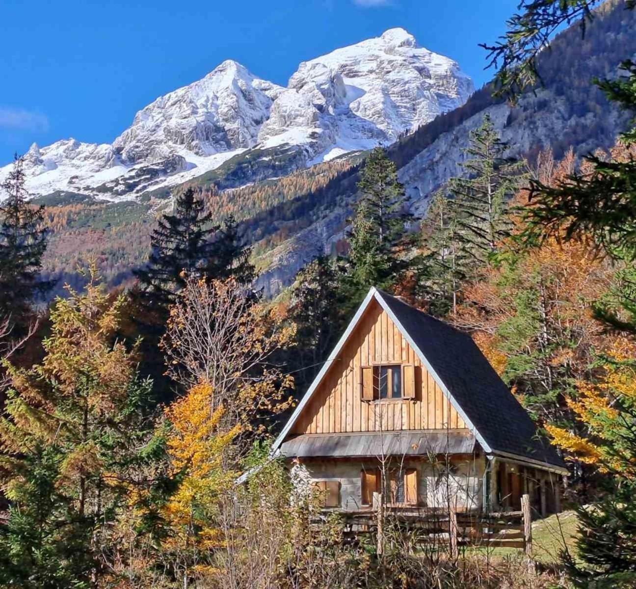 Cozy Private Cabin In The Heart Of Triglav National Park Трента Экстерьер фото